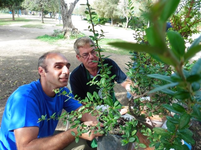 workshop bonsaiforum.gr 16 10 2016 (13)