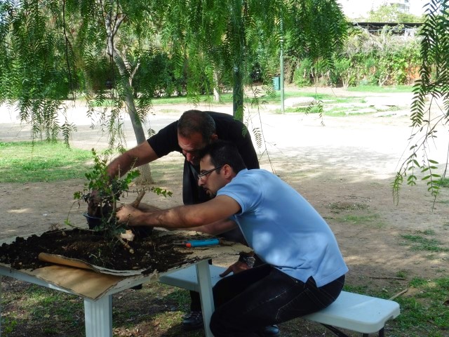 workshop bonsaiforum.gr 16 10 2016 (23)