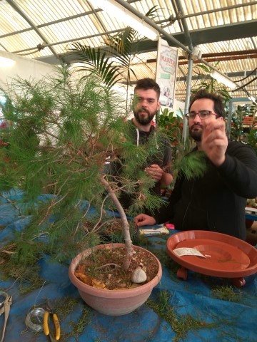 11DecWorkshop bonsaiforum (32)