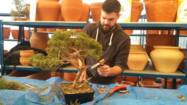 11DecWorkshop bonsaiforum (39)