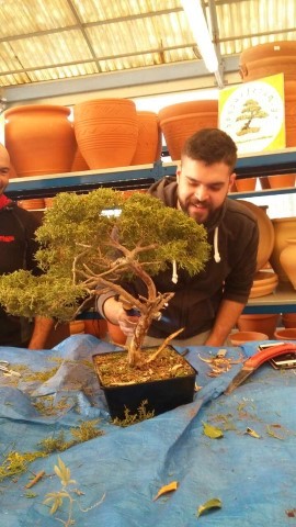 11DecWorkshop bonsaiforum (47)