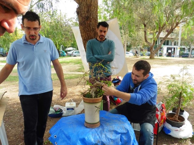 workshop bonsaiforum.gr 16 10 2016 (15)