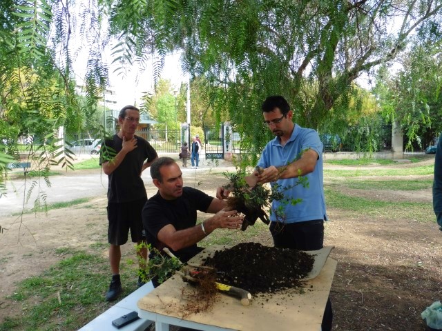 workshop bonsaiforum.gr 16 10 2016 (19)