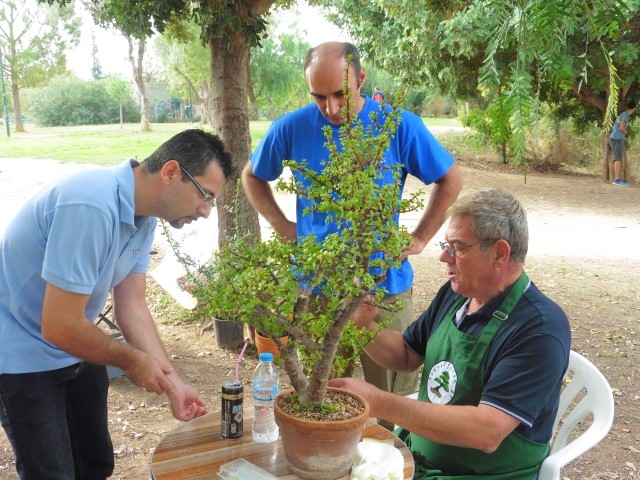 workshop bonsaiforum.gr 16 10 2016 (2)