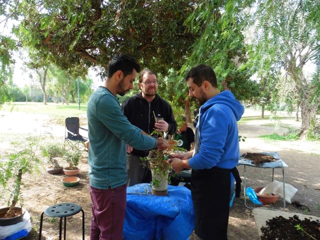 workshop bonsaiforum.gr 16 10 2016 (22)