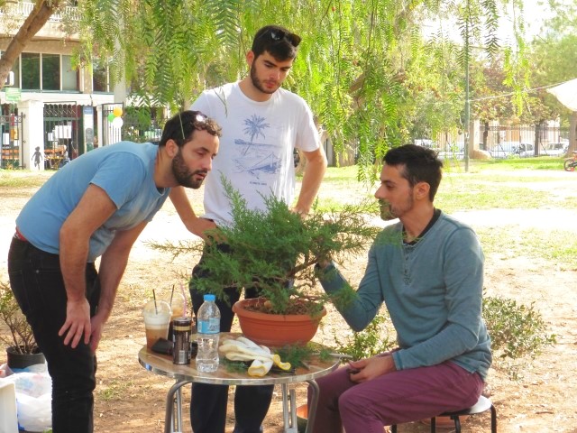 workshop bonsaiforum.gr 16 10 2016 (33)
