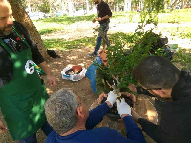 workshop bonsaiforum Mars 2017 16