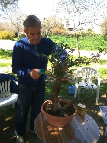 workshop bonsaiforum Mars 2017 6