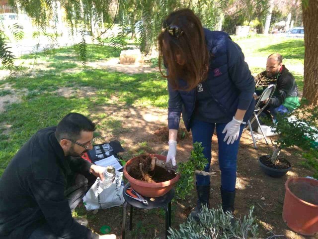 workshop bonsaiforum Mars 2017 7