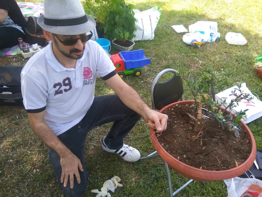 IMG_20180429_125002.jpg